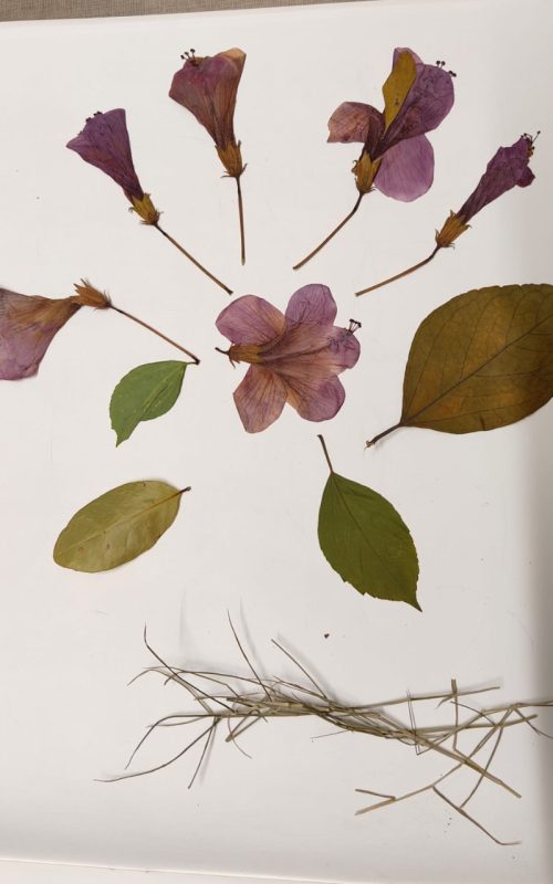 WhatsApp Image 2026-03-07 at 09.40.47