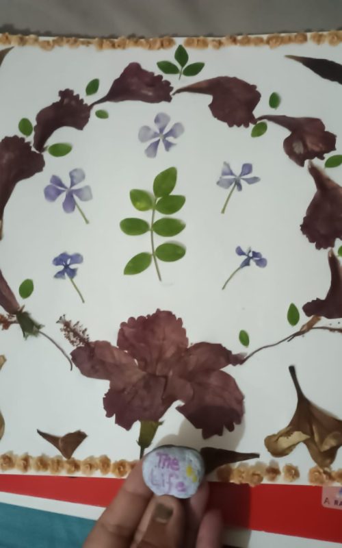 WhatsApp Image 2026-03-07 at 09.41.20 (4)