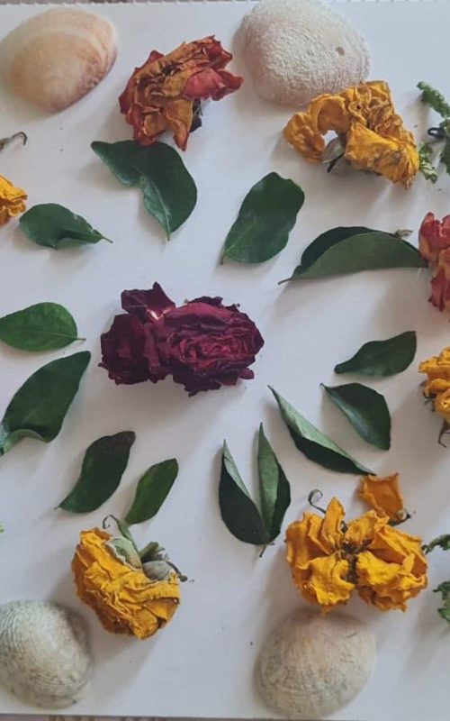 WhatsApp Image 2026-03-07 at 09.49.09 (2)