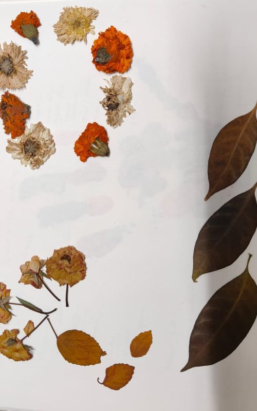 WhatsApp Image 2026-03-07 at 09.49.09